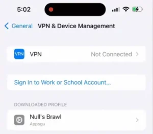 Null's Brawl IPA Profil